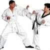 Tiger Claw Tae Kwon Do V-Neck Uniform Gi With White Belt Apparel
