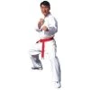 Tiger Claw V-Neck Student Taekwondo Uniform Gi W/ White Belt Apparel