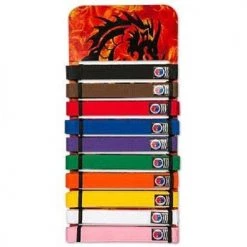 Proforce Dragon Fire Rank Belt Display Rack Wall Mount Accessories