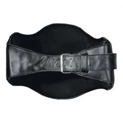 ProForce Thunder Deluxe Abdomen Shield Belly Pads